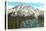 Phlox on Mt. Rainier, Washington-null-Stretched Canvas
