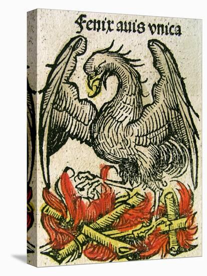 Phoenix Published in the Nuremberg Chronicle, 1493-null-Premier Image Canvas