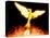 Phoenix-Christian Darkin-Premier Image Canvas