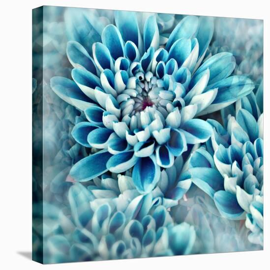 Photo Illustration of Abstract Flower Petals in Blue-Annmarie Young-Stretched Canvas