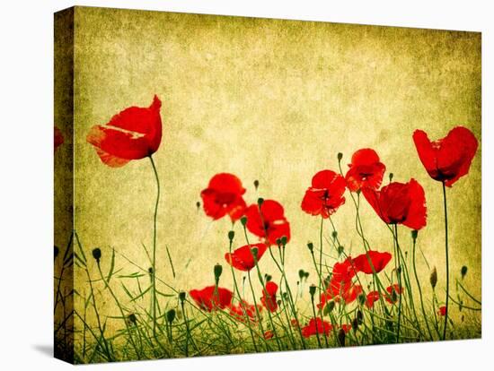 Photo Of A Poppies Pasted On A Grunge Background-Volokhatiuk-Stretched Canvas