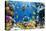 Photo of a Tropical Fish on a Coral Reef-Irochka-Premier Image Canvas