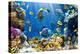 Photo of a Tropical Fish on a Coral Reef-Irochka-Premier Image Canvas