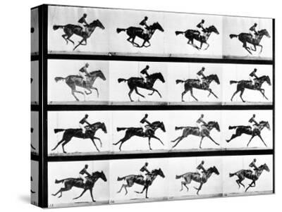 Photographer Eadweard Muybridge S Study Of A Horse At Full Gallop In Collotype Print Photographic Print Eadweard Muybridge Art Com