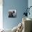 Photographer with Camera, New York-null-Premier Image Canvas displayed on a wall