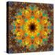 Photographic Kaleidoscope from Flower Images-Alaya Gadeh-Premier Image Canvas