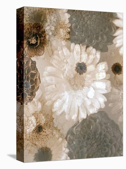 Photographic Layer Work from White and Brown Blossoms-Alaya Gadeh-Premier Image Canvas