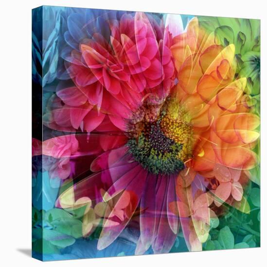 Photographic Layer Work of a Big Blossom in Multicolor-Alaya Gadeh-Premier Image Canvas