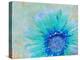 Photographic Layer Work of a Gerber Daisy with Textureand Floral Ornaments in Blue and Green Tones-Alaya Gadeh-Premier Image Canvas