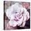 Photographic Layer Work of a White Rose-Alaya Gadeh-Premier Image Canvas