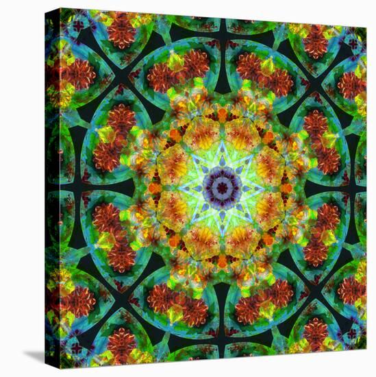 Photomontage of Flowers in a Symmetrical Ornament, Mandala-Alaya Gadeh-Premier Image Canvas