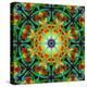 Photomontage of Flowers in a Symmetrical Ornament, Mandala-Alaya Gadeh-Premier Image Canvas