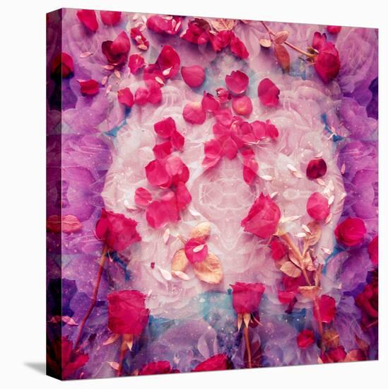 Photomontage of Red Roses and Floralen Ornaments-Alaya Gadeh-Premier Image Canvas