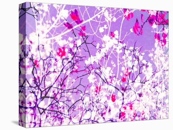 Photomontage of Trees in Purple Tones-Alaya Gadeh-Premier Image Canvas