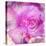 Photomontage of Two Blossoms in Pink Ones-Alaya Gadeh-Premier Image Canvas