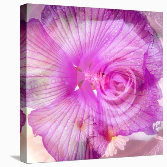 Photomontage of Two Blossoms in Pink Ones-Alaya Gadeh-Premier Image Canvas