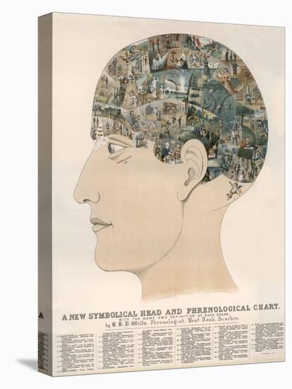 Phrenological Head-R.b.d. Wells-Premier Image Canvas
