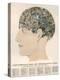 Phrenological Head-R.b.d. Wells-Premier Image Canvas