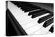 Piano Keyboard-Gudella-Premier Image Canvas