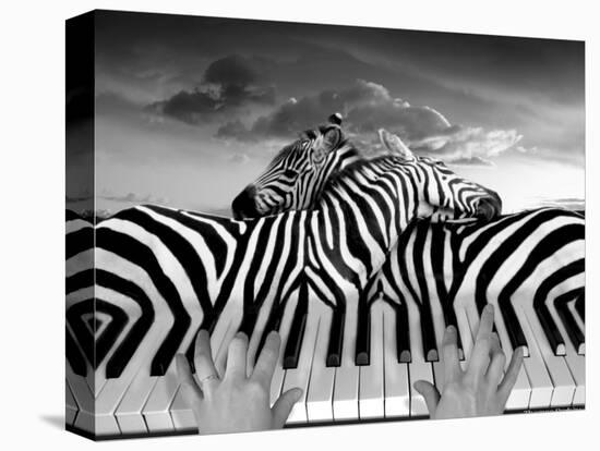 Piano Peace-Thomas Barbey-Premier Image Canvas