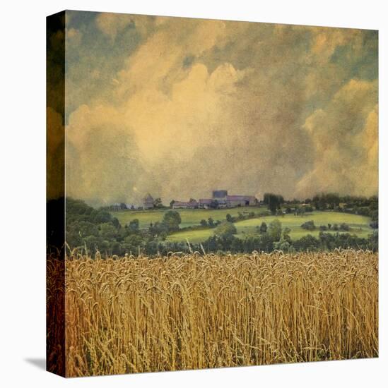 Picardy Wheat-Dawne Polis-Stretched Canvas