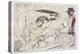 Picasso sketches 142, 1988 (drawing)-Ralph Steadman-Premier Image Canvas