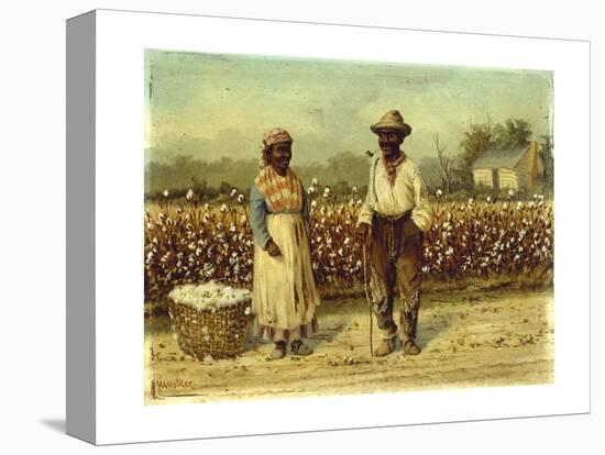 Picked Cotton-William Aiken		 Walker-Premier Image Canvas