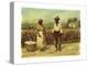 Picked Cotton-William Aiken		 Walker-Premier Image Canvas