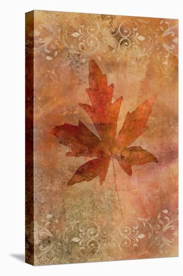 Picked Up Autumn Leaf II-Cora Niele-Premier Image Canvas