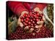 Pickers, Hands Full of Coffee Cherries, Coffee Farm, Slopes of the Santa Volcano, El Salvador-John Coletti-Premier Image Canvas