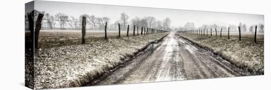 Picket Path-Todd Ridge-Stretched Canvas