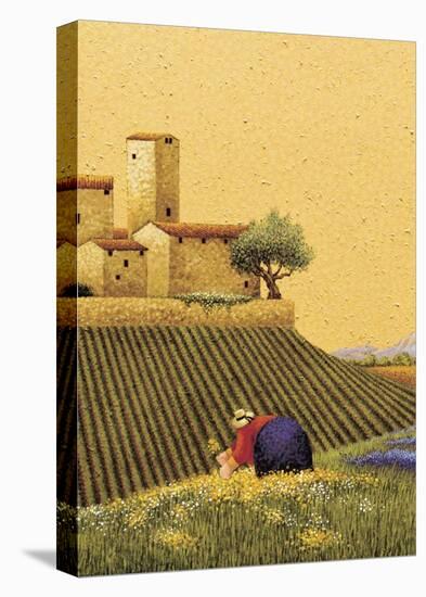 Picking A Bouquet-Lowell Herrero-Stretched Canvas