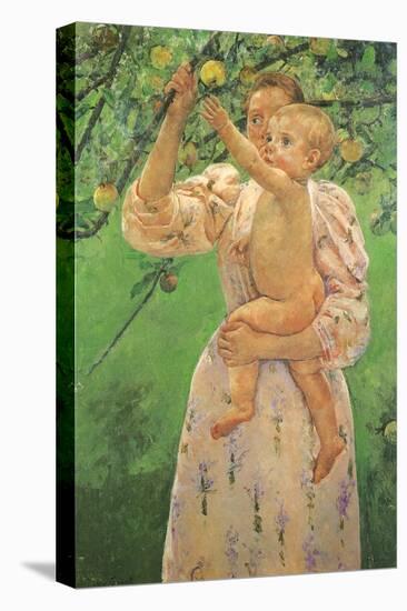 Picking an Apple, 1893-Mary Cassatt-Premier Image Canvas