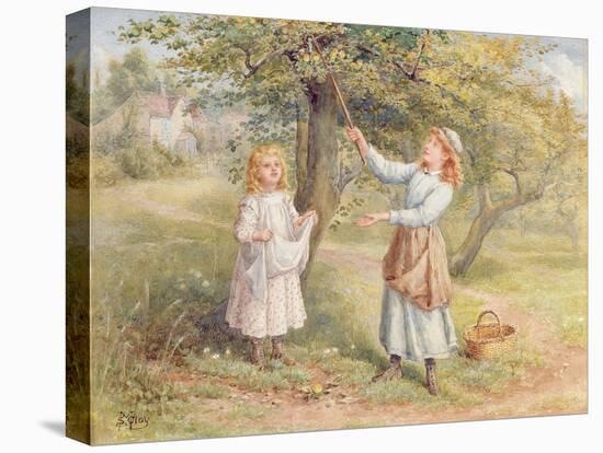 Picking Apples-Samuel Mccloy-Premier Image Canvas