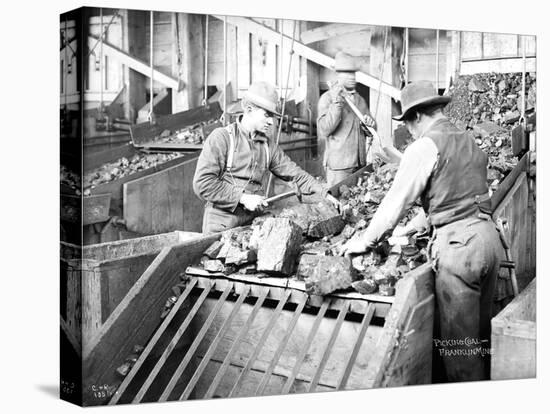 Picking Coal, Franklin Mine, Circa 1902-Asahel Curtis-Premier Image Canvas