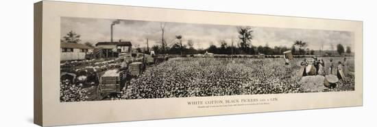 Picking Cotton in GA 1915-Mindy Sommers-Premier Image Canvas