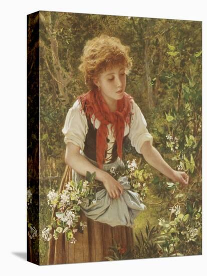 Picking Honeysuckle-Sophie Anderson-Premier Image Canvas