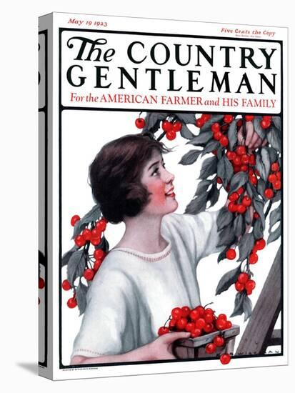 "Picking Pints of Cherries," Country Gentleman Cover, May 19, 1923-Katherine R. Wireman-Premier Image Canvas