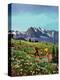 "Picnic On Mt. Ranier", July 17, 1954-John Clymer-Premier Image Canvas