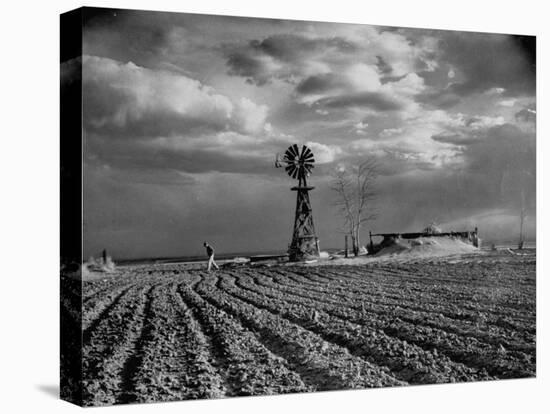 Picture from the Dust Bowl,With Deep Furrows Made by Farmers to Counteract Wind-Margaret Bourke-White-Premier Image Canvas