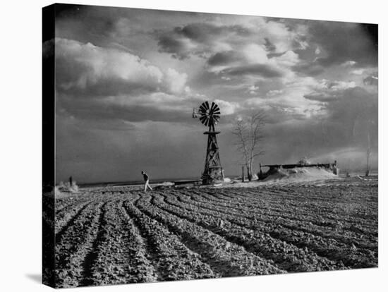 Picture from the Dust Bowl,With Deep Furrows Made by Farmers to Counteract Wind-Margaret Bourke-White-Premier Image Canvas