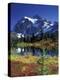 Picture Lake and Mount Shuksan at Heather Meadows, Washington, USA-Jamie & Judy Wild-Premier Image Canvas
