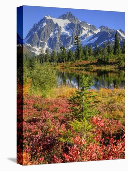 Picture Lake, Mt. Shuksan, Heather Meadows Recreation Area, Washington, Usa-Jamie & Judy Wild-Premier Image Canvas
