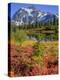 Picture Lake, Mt. Shuksan, Heather Meadows Recreation Area, Washington, Usa-Jamie & Judy Wild-Premier Image Canvas