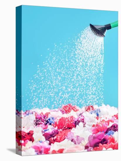 Picture Presenting Watering the Fragrant Flowers-Konrad B?k-Premier Image Canvas