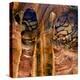 Picturesque Sandstone Rock Formations-Erez Herrnstadt-Premier Image Canvas