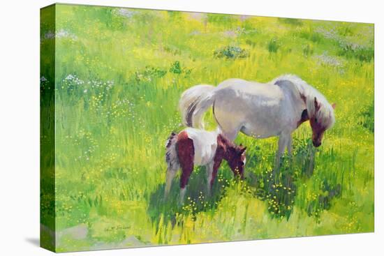 Piebald horse and foal-William Ireland-Premier Image Canvas