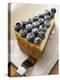 Piece of Blueberry Cheesecake-null-Premier Image Canvas