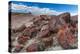 Pieces of Petrified Trees - Wood, Petrified Forest National Park, Arizona, USA, February 2015-Juan Carlos Munoz-Premier Image Canvas