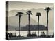 Piedmont, Lake Maggiore, Borromean Islands, Stresa, Lakefront Palms with Isola Bella, Italy-Walter Bibikow-Premier Image Canvas